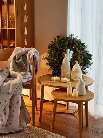 RAEDER | Weihnachts Wohndecke 150x200cm Hundeschlitten | hellgrau